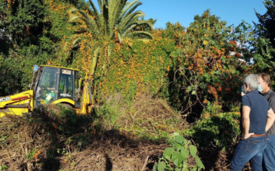 Comienzan las obras en la zona verde Jardín Quintana