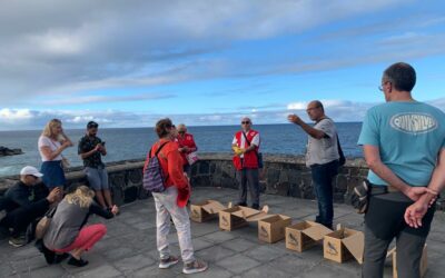 Proactivas se une a la campaña de protección de la pardela cenicienta
